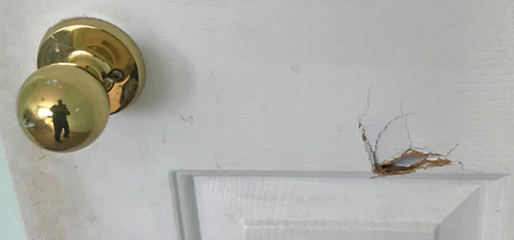 interior door hole repair San Fernando