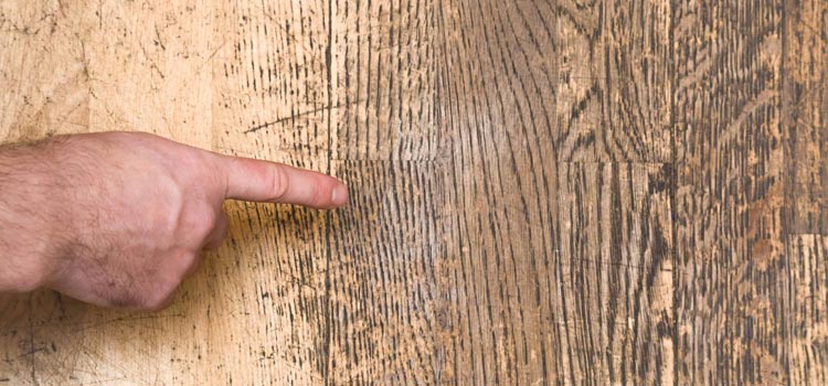 Wood Door Scratch Repair in San Fernando